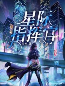 星际指挥官双男主AB0