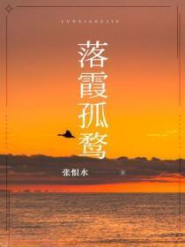 落霞孤鹜讲的什么故事