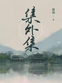 集外集名字由来