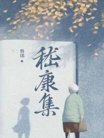 嵇康集属于什么文学体裁