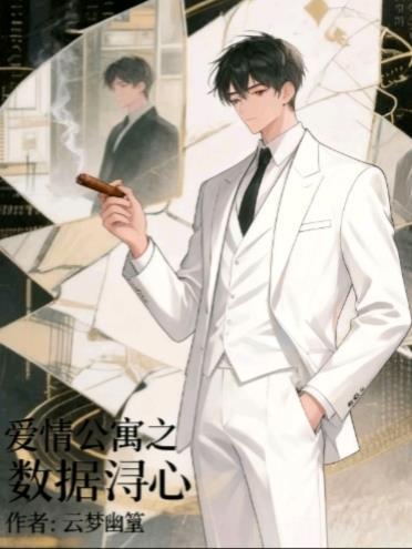 爱情公寓里面数字