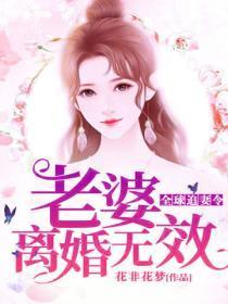 全球追妻令老婆、离婚无效