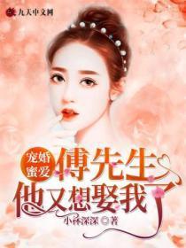 傅先生宠妻无度免费