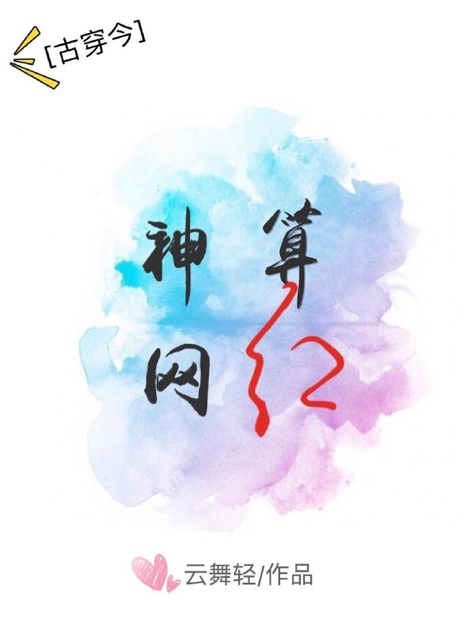 神算网红古穿今免费阅读