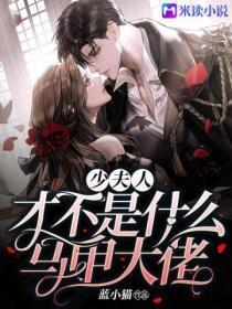 少夫人马甲个个很凶残免费阅读