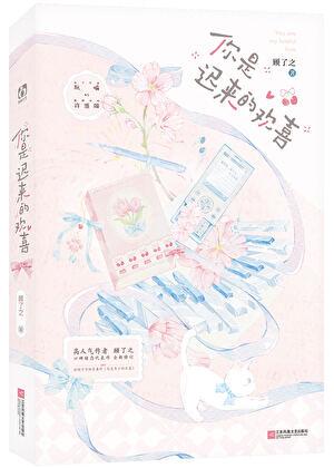 你是迟来的欢喜全文阅读