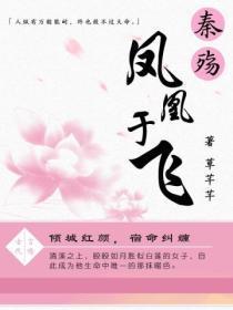 凤凰涅磐之秦殇