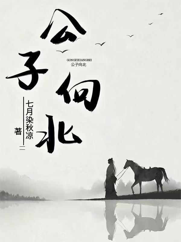 公子向北走男版歌词