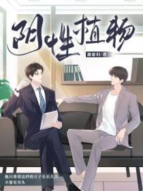 阴性植物盆栽有哪些