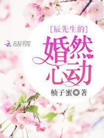 辰少的婚然心动