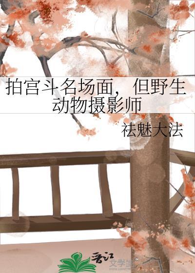 野生动物摄影师百度百科