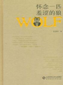 怀念一匹羞涩的狼歌词