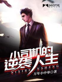 小司机逆袭记
