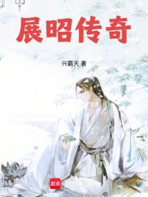 大宋神探录展昭传奇在线阅读