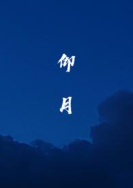 仰望全文免费阅读无弹窗