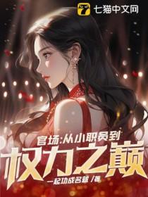 官场从政