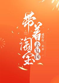 带着淘宝去复国快穿