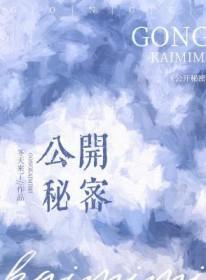公开秘密叫什么