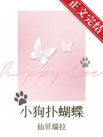 小狗扑蝴蝶by仙贝瑞拉