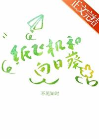 纸飞机和向日葵作者不见知时