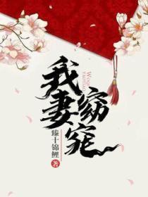 我妻窈窕讲什么