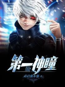 第一神瞳免费阅读