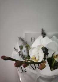 我的未婚妻欲求不满 小羽毛txt