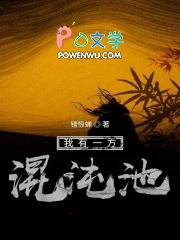 我有一块混沌池