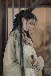 猫猫热线为你服务精校版全本