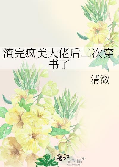 渣完疯美大佬后二次穿书了