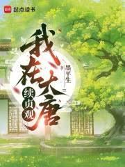 我在大唐续贞观