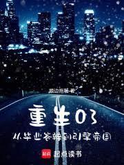 重生03：从毕业答辩到引擎帝国